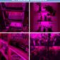 pazari4all.gr- Φως LED Ανάπτυξης Φυτών Full Spectrum Λάμπα Θερμοκηπίου/ Ενυδρείου - Plant Grow 36 LED Lamp - ΟΕΜ
