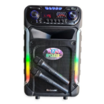 pazari4all -Φορητό Ηχείο 12″ με 2 Ασύρματα Μικρόφωνα Meirende MR-201